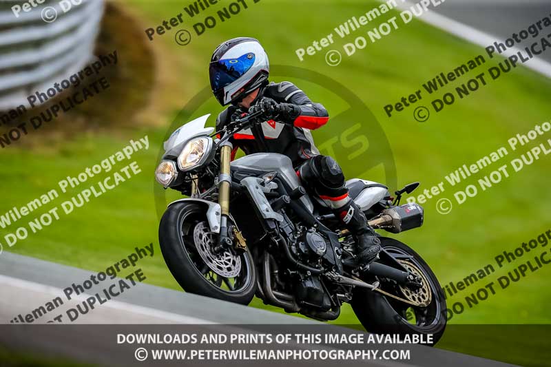 PJ Motorsport 2019;anglesey;brands hatch;cadwell park;croft;donington park;enduro digital images;event digital images;eventdigitalimages;mallory;no limits;oulton park;peter wileman photography;racing digital images;silverstone;snetterton;trackday digital images;trackday photos;vmcc banbury run;welsh 2 day enduro